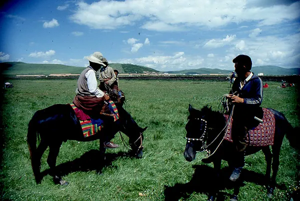 1991 07 Xiahe Tibetan Plateau Grassland 010.jpg